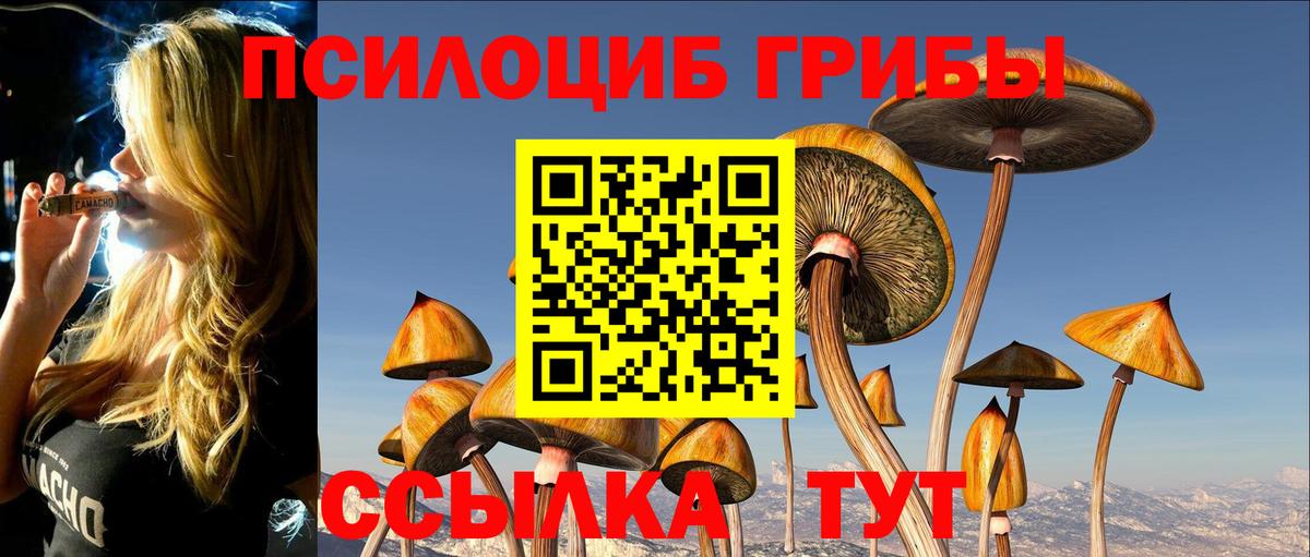 Галлюциногенные грибы GOLDEN TEACHER  как найти закладки  Галлюциногенные грибы Psilocybine cubensis  Ленинск-Кузнецкий  Вход с VPN 