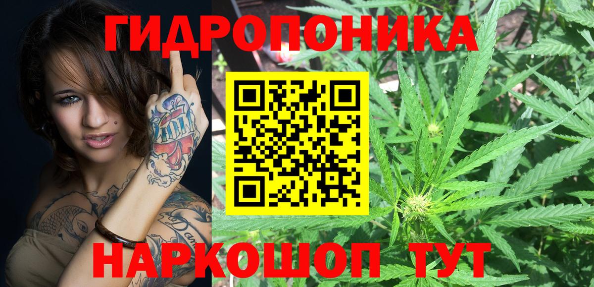 Каннабис ГИДРОПОН  Вход с VPN  Бошки Шишки ГИДРОПОН  Ленинск-Кузнецкий 